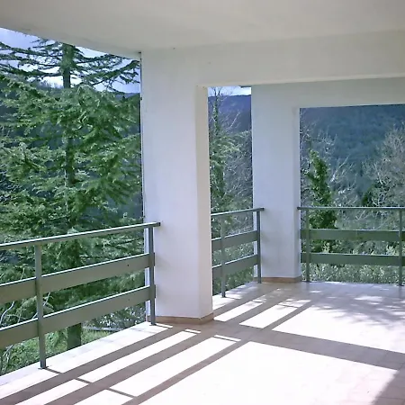Hollywood 3* Olivadi
