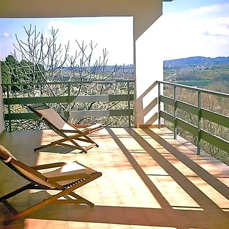 Bed and Breakfast Hollywood