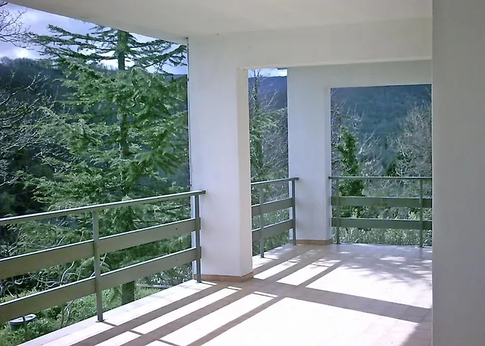 Hollywood 3* Olivadi